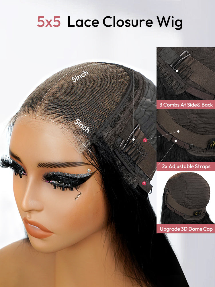 Affordable 5x5 Closure Wigs Brazilian Straight Human Hair Wigs Virgin Hair Lace Closure Wigs For Ladies